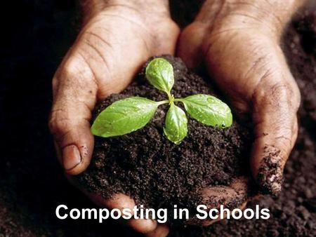 Composting in Schools.