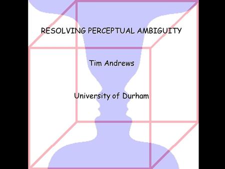 RESOLVING PERCEPTUAL AMBIGUITY Tim Andrews University of Durham.