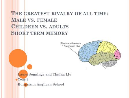 T HE GREATEST RIVALRY OF ALL TIME : M ALE VS. FEMALE C HILDREN VS. ADULTS S HORT TERM MEMORY Laura Jennings and Timina Liu Year 9 Burgmann Anglican School.