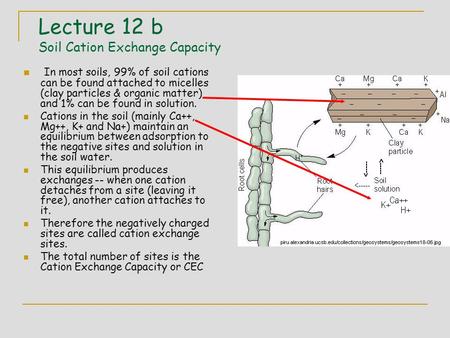 Lecture 12 b Soil Cation Exchange Capacity