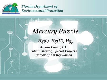 Florida Department of Environmental Protection Alvaro Linero, P.E. Administrator, Special Projects Bureau of Air Regulation Mercury Puzzle Hg(0), Hg(II),