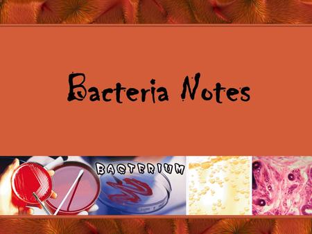 Bacteria Notes. Intro. To Bacteria Bacteria song  v=tqOVYpkZ0qs.