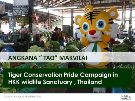 ANGKANA “ TAO” MAKVILAI Tiger Conservation Pride Campaign in HKK wildlife Sanctuary, Thailand CRITICAL ANALYSIS PRESENTATION.
