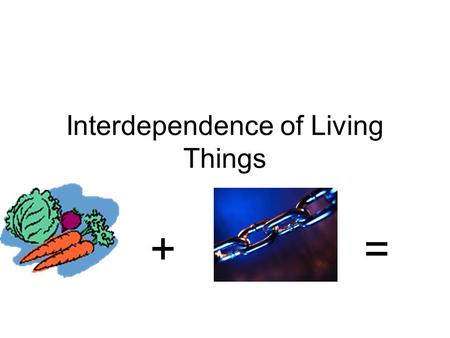 Interdependence of Living Things + =. Producers Organisms that have the ability to produce their own energy (autotrophs). Most producers use the sun’s.