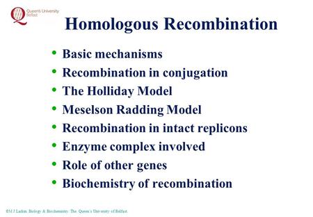 ©M J Larkin Biology & Biochemistry. The Queen’s University of Belfast. Homologous Recombination Basic mechanisms Recombination in conjugation The Holliday.