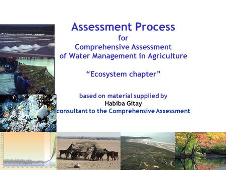Assessment Process for Comprehensive Assessment of Water Management in Agriculture “Ecosystem chapter” based on material supplied by Habiba Gitay consultant.