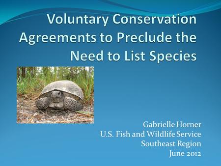 Gabrielle Horner U.S. Fish and Wildlife Service Southeast Region June 2012.