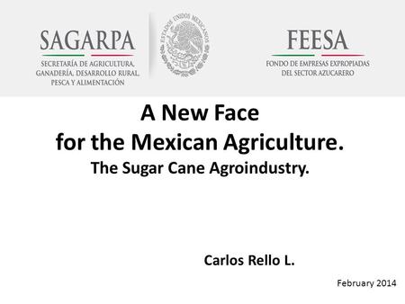 A New Face for the Mexican Agriculture. The Sugar Cane Agroindustry. Carlos Rello L. February 2014.