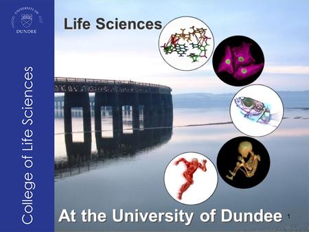 At the University of Dundee Life Sciences 1. © HEA Biosciences: Tom Tregenza © Jose Ordaz- Ortiz © Ijsbrand Kramer 2.