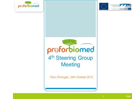 Date 1 WP1 4 th Steering Group Meeting Faro (Portugal), 24th October 2012.