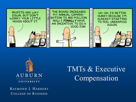 TMTs & Executive Compensation. Top Management Team CEO, CFO, CIO, CMO, CAO, COO, CTO, CPO, CNO, CKO, CLO.