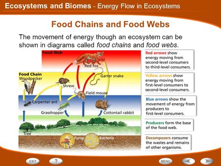 Ecosystems and Biomes Food Chains and Food Webs The movement of energy though an ecosystem can be shown in diagrams called food chains and food webs. -