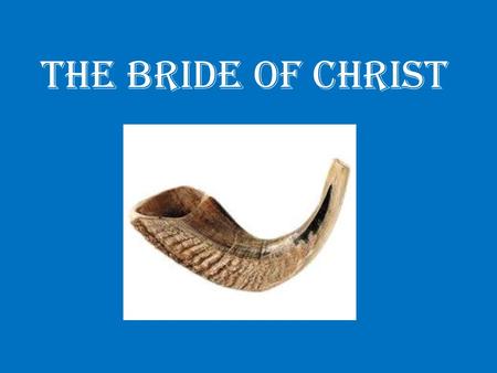 The Bride of Christ. Betrothal ceremony Wedding ceremony.