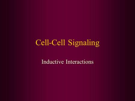 Cell-Cell Signaling Inductive Interactions. Induction: proximate interactions Close range interactions Inducer –Tissue doing the inducing –Emits a signal.