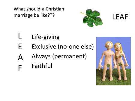 What should a Christian marriage be like???