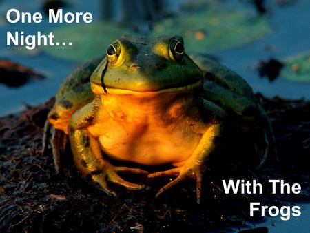 One More Night… With The Frogs. One More Night… With The Frogs.