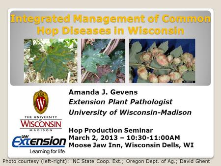 Integrated Management of Common Hop Diseases in Wisconsin Hop Production Seminar March 2, 2013 – 10:30-11:00AM Moose Jaw Inn, Wisconsin Dells, WI Amanda.
