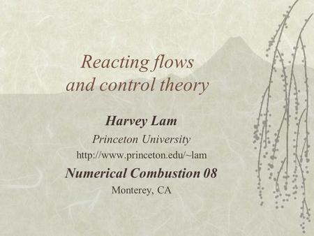 Reacting flows and control theory Harvey Lam Princeton University  Numerical Combustion 08 Monterey, CA.