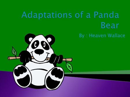 By : Heaven Wallace. To help it eat many different types of Bamboo is its 'sixth toe'. The Giant Panda has five regular appendages that humans would consider.
