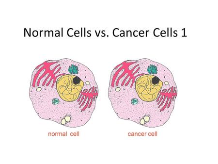Normal Cells vs. Cancer Cells 1