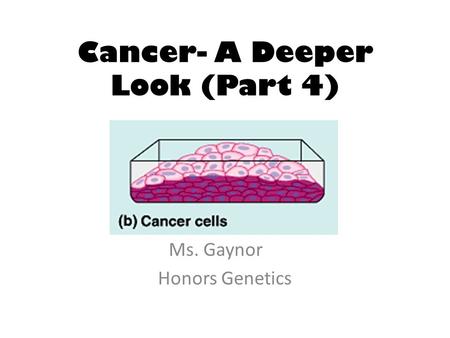 Cancer- A Deeper Look (Part 4) Ms. Gaynor Honors Genetics.