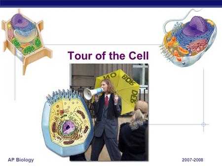 AP Biology 2007-2008 Tour of the Cell AP Biology Prokaryote bacteria cells Types of cells Eukaryote animal cells Eukaryote plant cells.