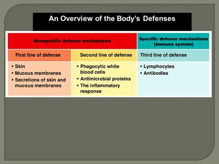 An Overview of the Body’s Defenses. The first line of defense, the skin and mucous membranes, prevents most microbes from entering the body.