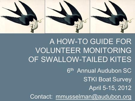 6 th Annual Audubon SC STKI Boat Survey April 5-15, 2012 Contact: A HOW-TO GUIDE FOR VOLUNTEER MONITORING OF SWALLOW-TAILED KITES.