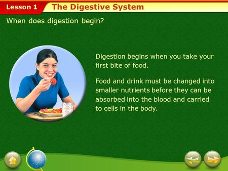 Lesson 1 When does digestion begin? Digestion begins when you take your first bite of food. The Digestive System Food and drink must be changed into smaller.