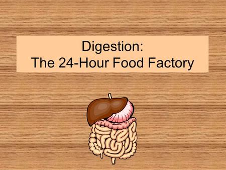 Digestion: The 24-Hour Food Factory. Digestion: A two-part process Mechanical digestion takes place in your mouth and your stomach. Your teeth break food.