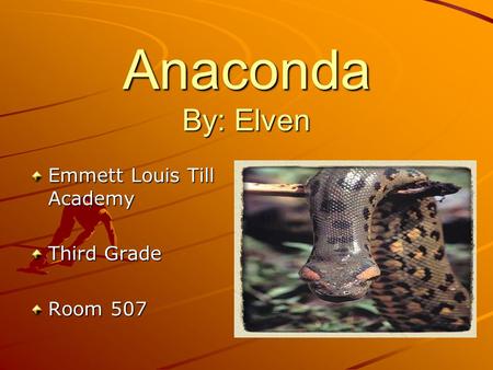 Anaconda By: Elven Emmett Louis Till Academy Third Grade Room 507.