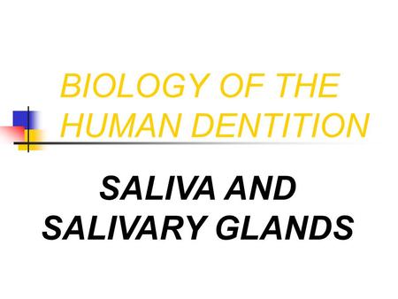 BIOLOGY OF THE HUMAN DENTITION