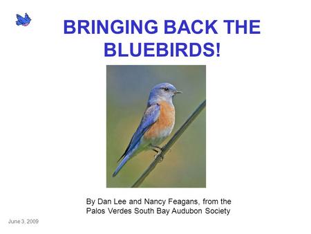 BRINGING BACK THE BLUEBIRDS! By Dan Lee and Nancy Feagans, from the Palos Verdes South Bay Audubon Society June 3, 2009.