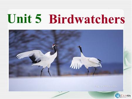 Unit 5 Birdwatchers. Welcome to the unit birdwatcher birdwatching roast yummy crane beak seagull n. 观察研究野鸟的人 n. 观察研究野鸟 adj. 烤过的 adj. 美味的，可口的 n. 鹤 n.