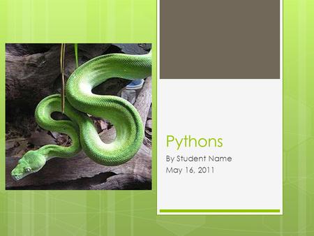 Pythons By Student Name May 16, 2011.