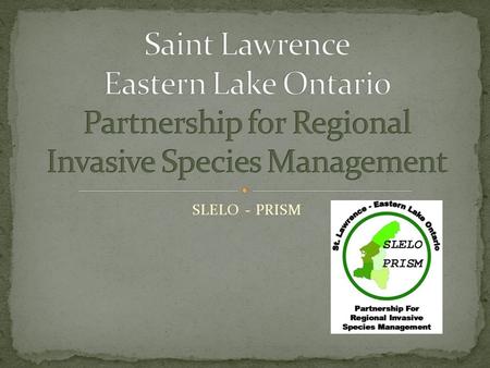 SLELO - PRISM. What is a PRISM? A regional partnership of diverse stakeholders formed to address the threat of invasive species in a cooperative, comprehensive,