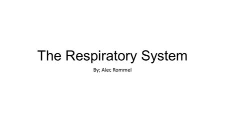 The Respiratory System By; Alec Rommel. Major Functions of the Respiratory System The most important function of the respiratory system is to allow the.