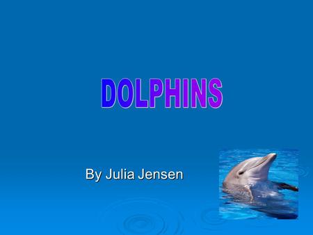 DOLPHINS By Julia Jensen.