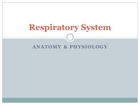 ANATOMY & PHYSIOLOGY Respiratory System. Functions of the Respiratory System Gas Exchange.