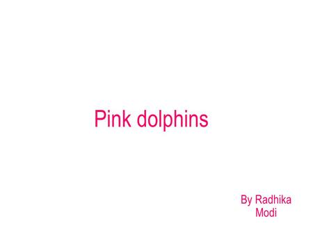 Pink dolphins By Radhika Modi. what is happening The pink dolphins are getting endangered because of pollution, boat traffic,littering and lost of habitat.