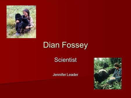 Dian Fossey Scientist Jennifer Leader. Why Dian Fossey deserves to be in the Hall of Fame.  Dian Fossey studied animal behavior – particularly of mountain.