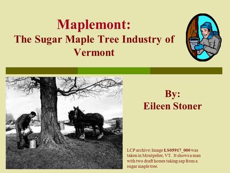 Maplemont: The Sugar Maple Tree Industry of Vermont By: Eileen Stoner LCP archive: Image LS05917_000 was taken in Montpelier, VT. It shows a man with two.
