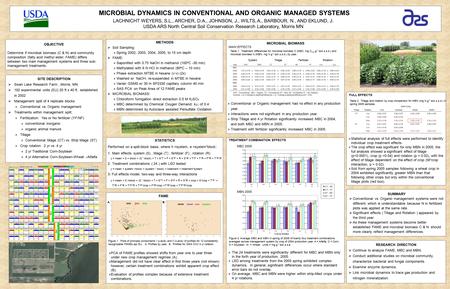 MICROBIAL DYNAMICS IN CONVENTIONAL AND ORGANIC MANAGED SYSTEMS LACHNICHT WEYERS, S.L., ARCHER, D.A., JOHNSON, J., WILTS, A., BARBOUR, N., AND EKLUND, J.