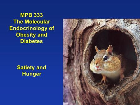 MPB 333 The Molecular Endocrinology of Obesity and Diabetes Satiety and Hunger.