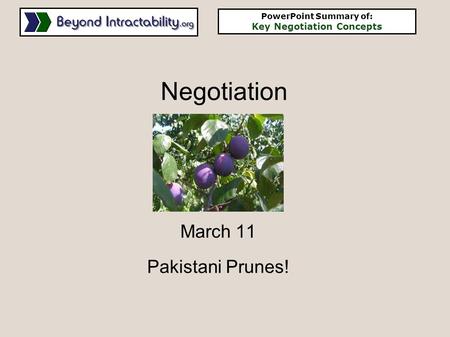 March 11 Pakistani Prunes!