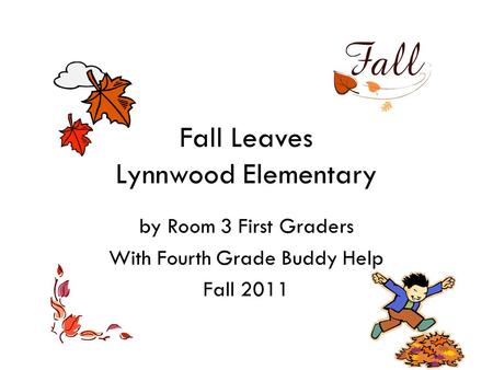 Fall Leaves Lynnwood Elementary by Room 3 First Graders With Fourth Grade Buddy Help Fall 2011.