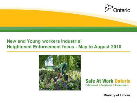 Ministry of Labour New and Young workers Industrial Heightened Enforcement focus - May to August 2010.