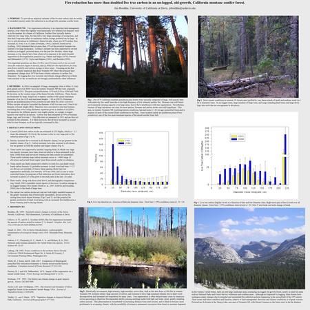 Fire reduction has more than doubled live tree carbon in an un-logged, old-growth, California montane conifer forest. Jim Bouldin, University of California.