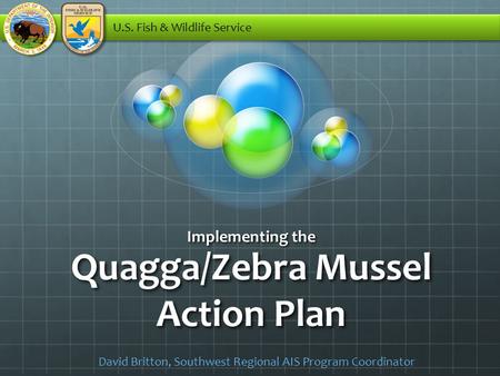 Quagga/Zebra Mussel Action Plan Implementing the U.S. Fish & Wildlife Service David Britton, Southwest Regional AIS Program Coordinator.