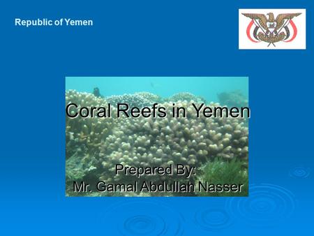 Republic of Yemen Prepared By: Mr. Gamal Abdullah Nasser Coral Reefs in Yemen.